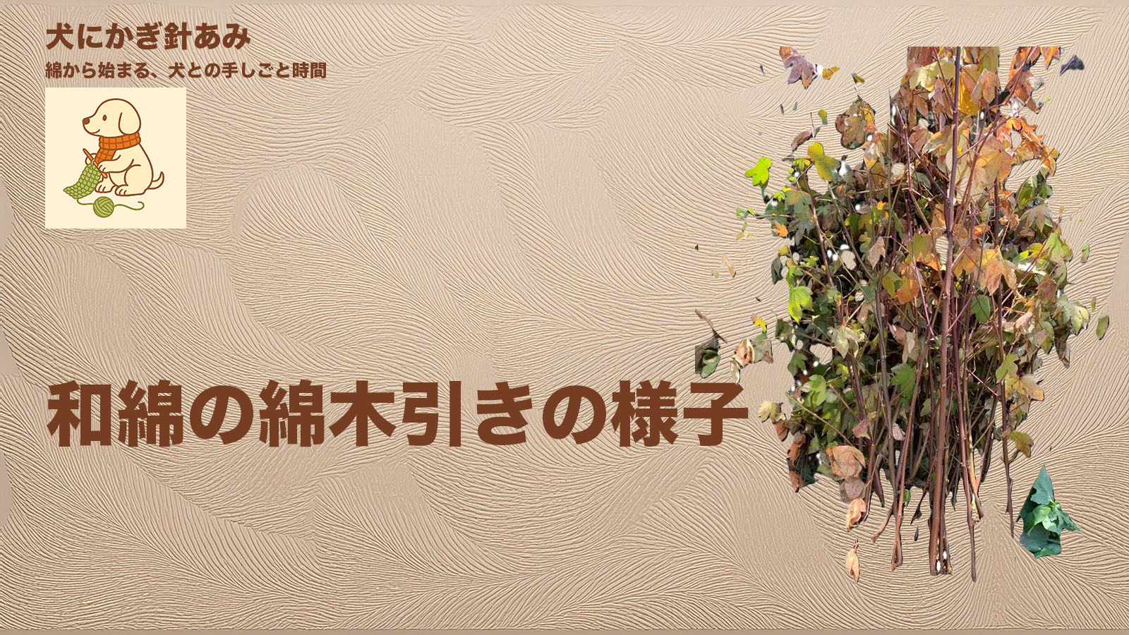 綿木引のサムネイル