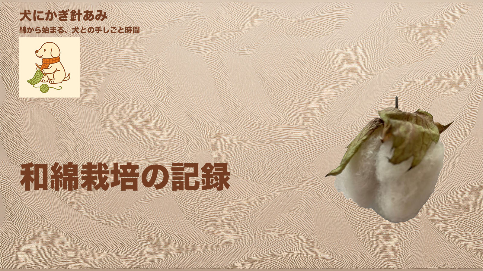 和綿栽培の記録のサムネイル