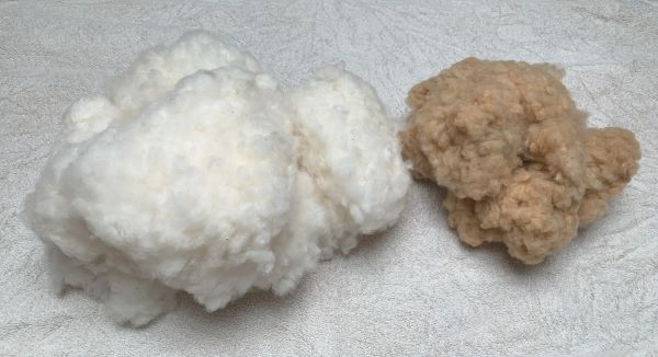 収穫した和綿(白・茶)
