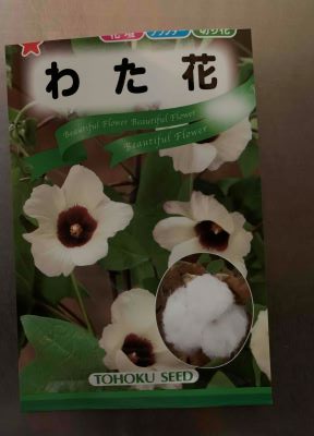和綿の種のパッケージ