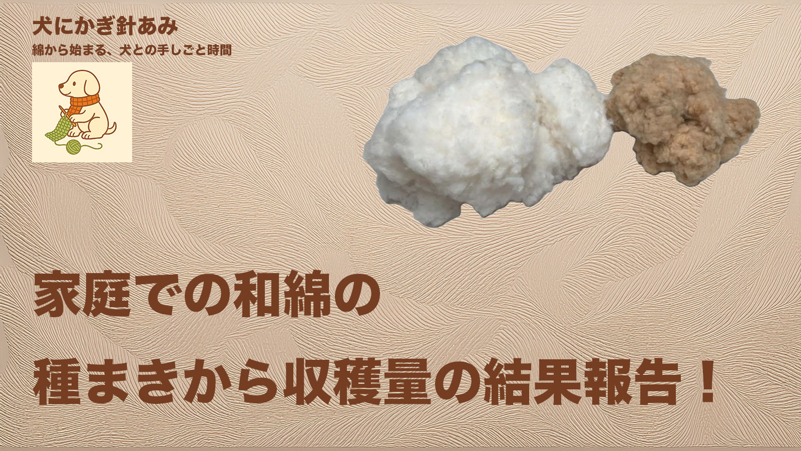和綿の収穫結果のサムネイル