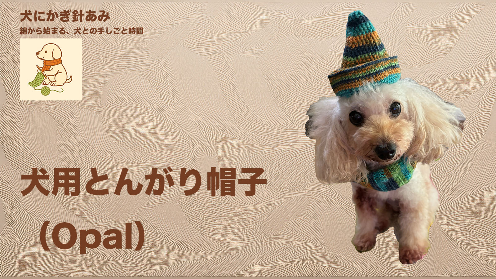 オパール毛糸で編んだ犬用とんがり帽子のサムネイル