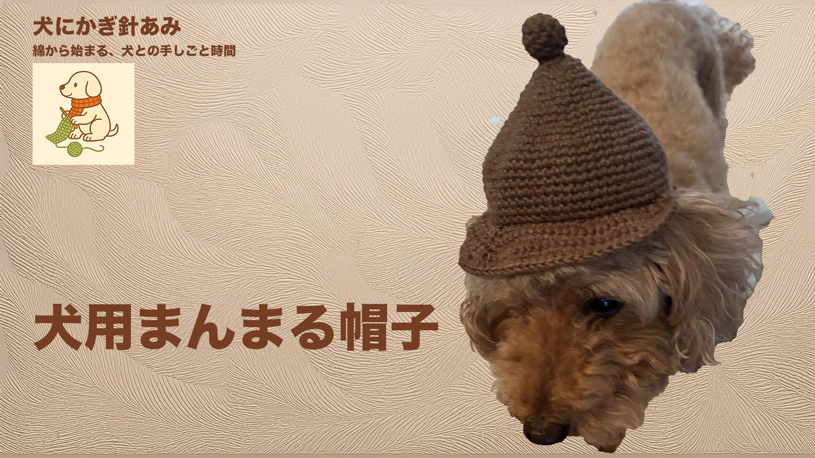犬用まんまる帽子のサムネイル、かぎ針編み