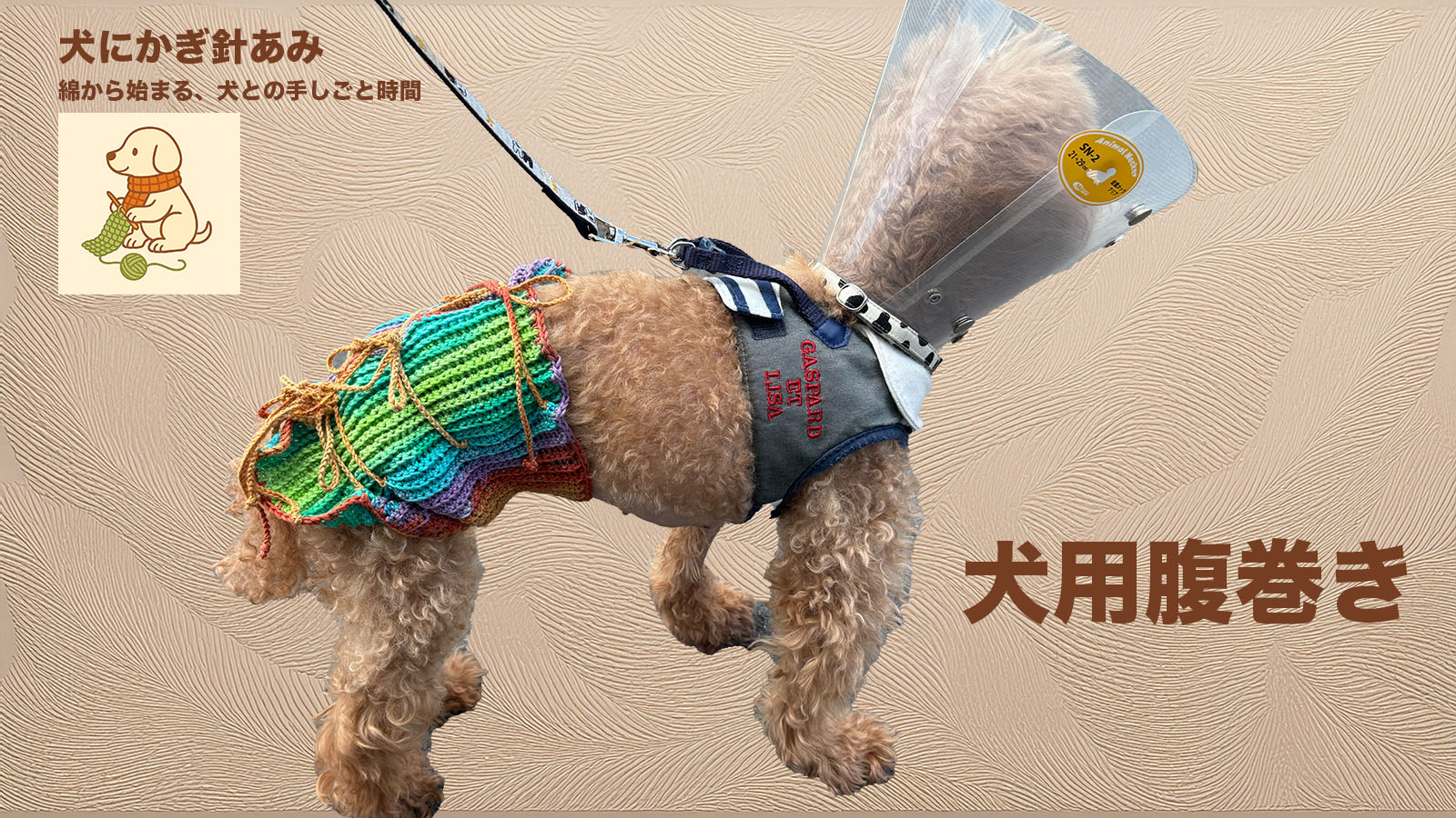 犬用腹巻のサムネイル、かぎ針編み