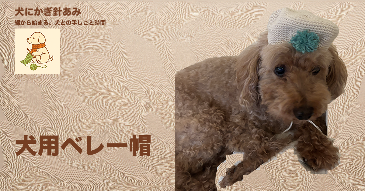 犬用ベレー帽をかぎ針編みのサムネイル