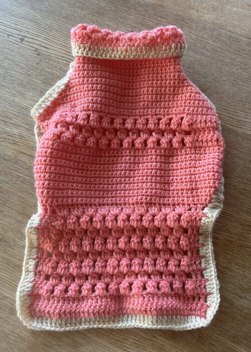 ぽかぽかキッズの毛糸を使って編んだ犬用洋服（表）