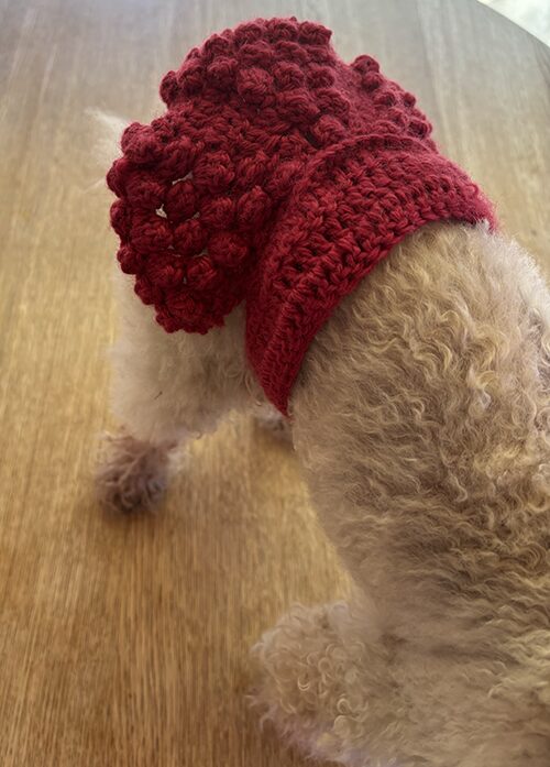 ポップコーン編みの犬用プリーツスカートを着ているキナコ（上から）