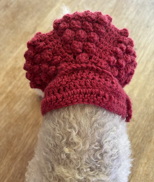 ポップコーン編みの犬用プリーツスカートを着ているキナコ（上斜め横から）