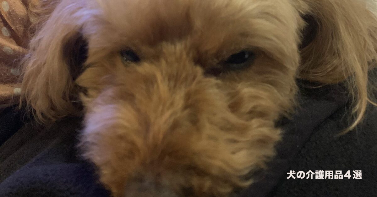 使って良かった介護用品４選のサムネイル