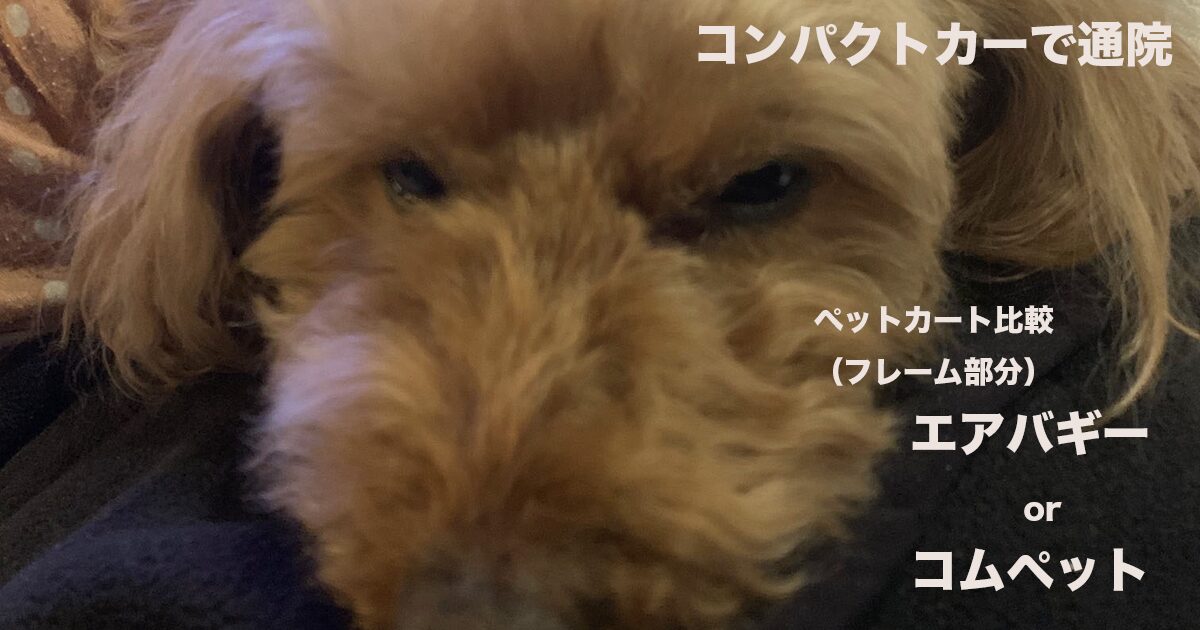 エアバギーとコムペット、ペットカート比較のサムネイル