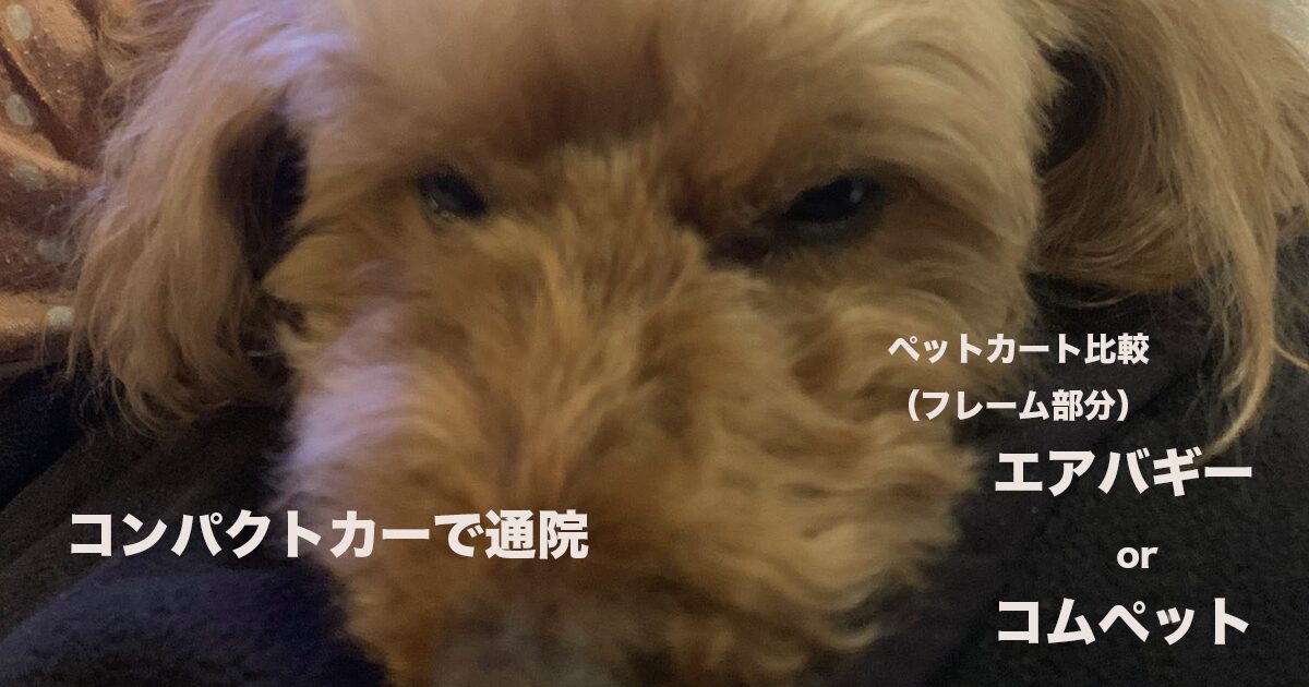 エアバギーとコムペット、ペットカート比較のサムネイル