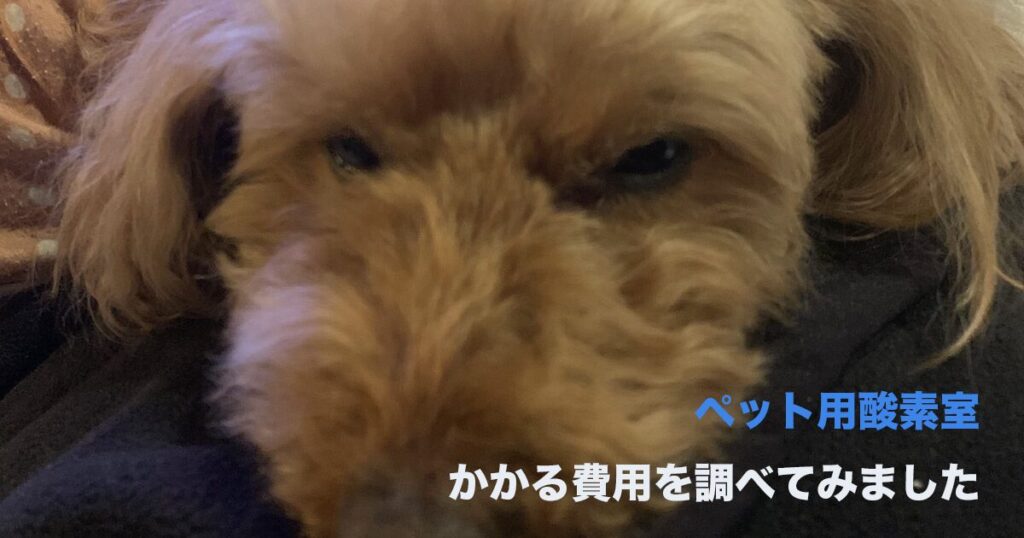 在宅酸素かかる費用のサムネイル