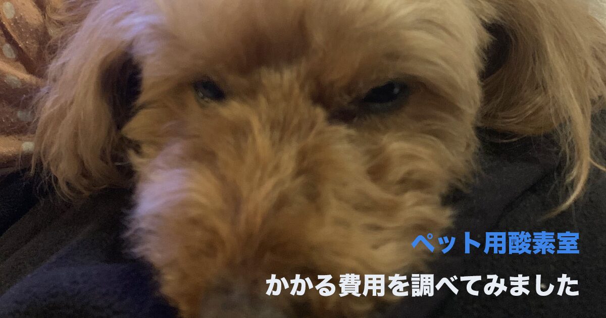 在宅酸素かかる費用のサムネイル