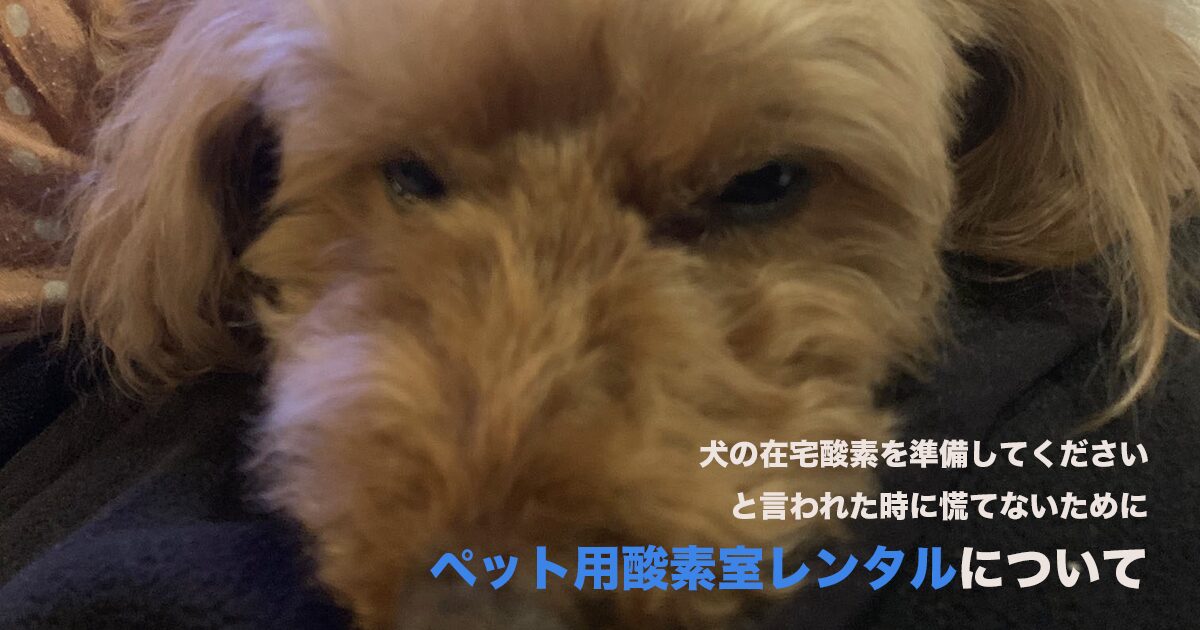 慌てないためにペット用酸素室レンタルのサムネイル