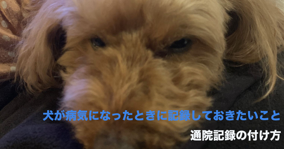 犬の病気の記録のサムネイル