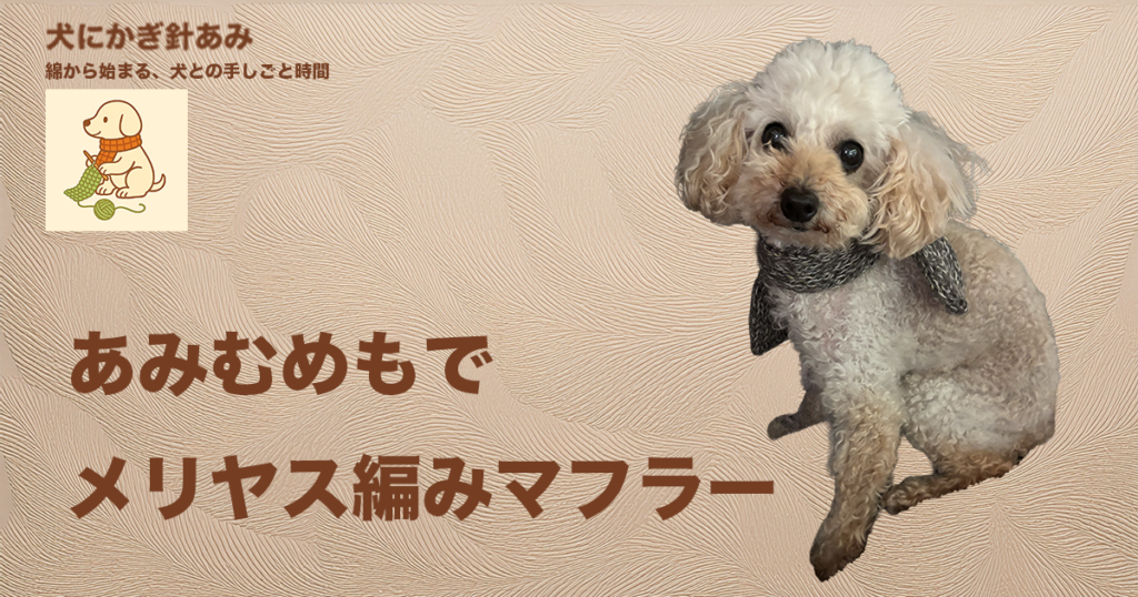 メリヤス編みのマフラー